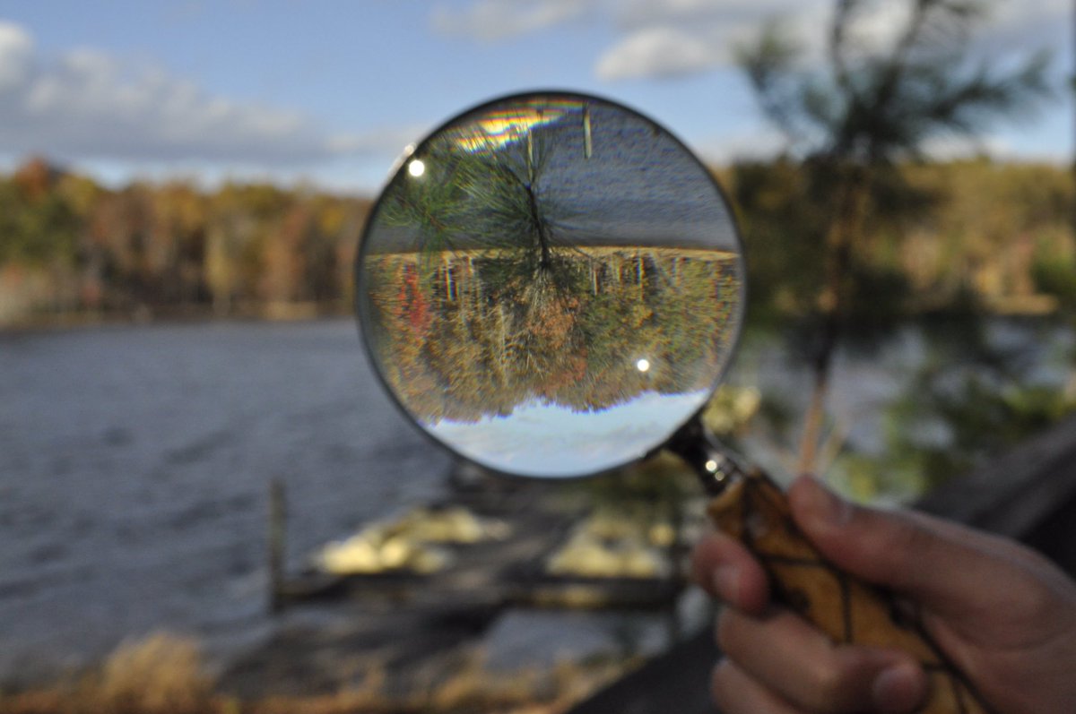 tamika_kat's tweet photo. Magnify glass #nature #photography #magnifyglass #sky #lake #water #trees #boats https://t.co/zS5Noklvhs