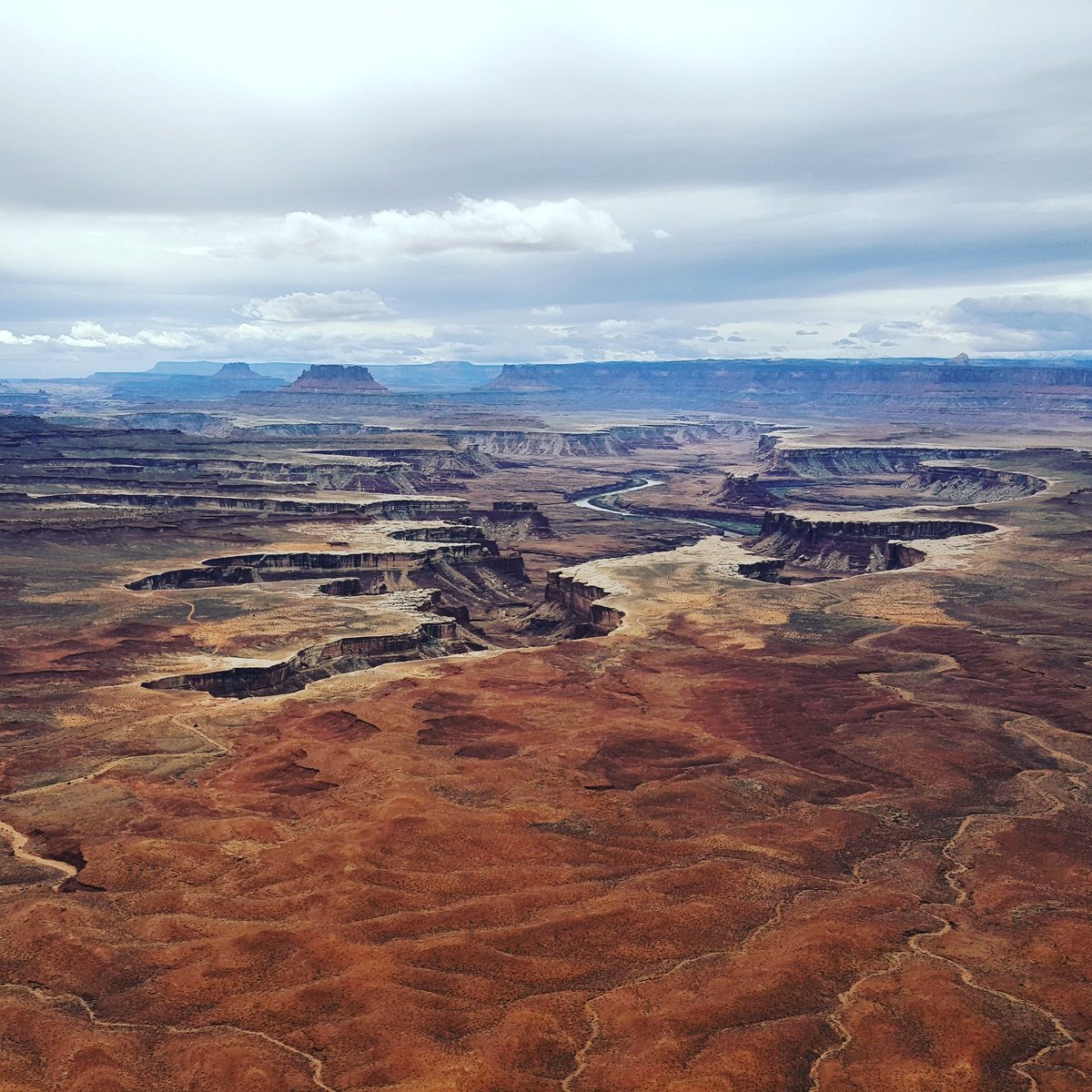 CFIMoab's tweet photo. @CanyonlandsNPS is looking good! #getoutside #hiking #utah. https://t.co/2iCpxgmxSS