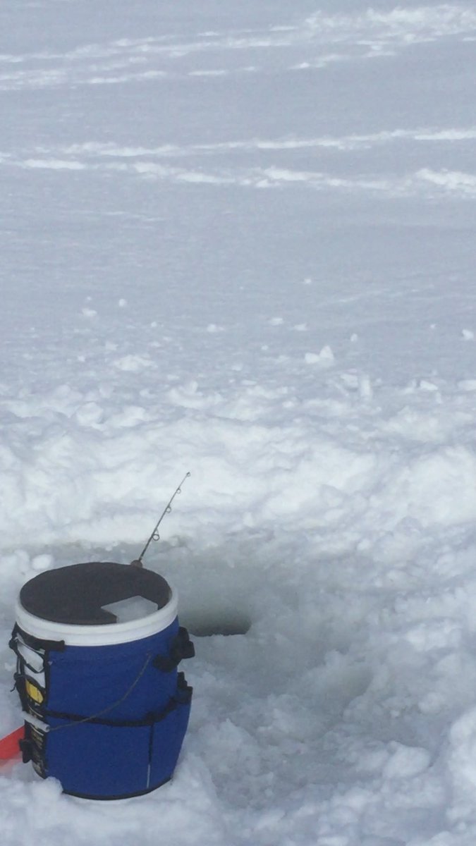 Steven Beauparlant tweet media