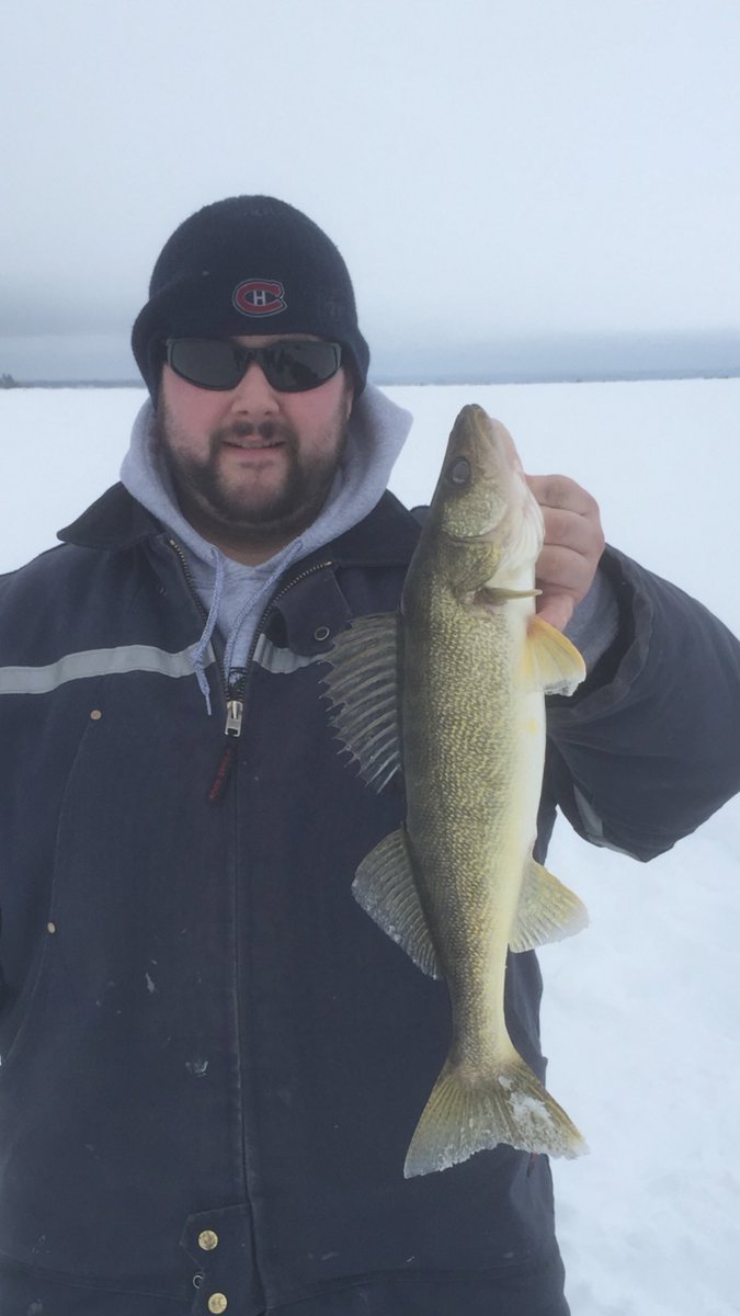 Steven Beauparlant tweet media