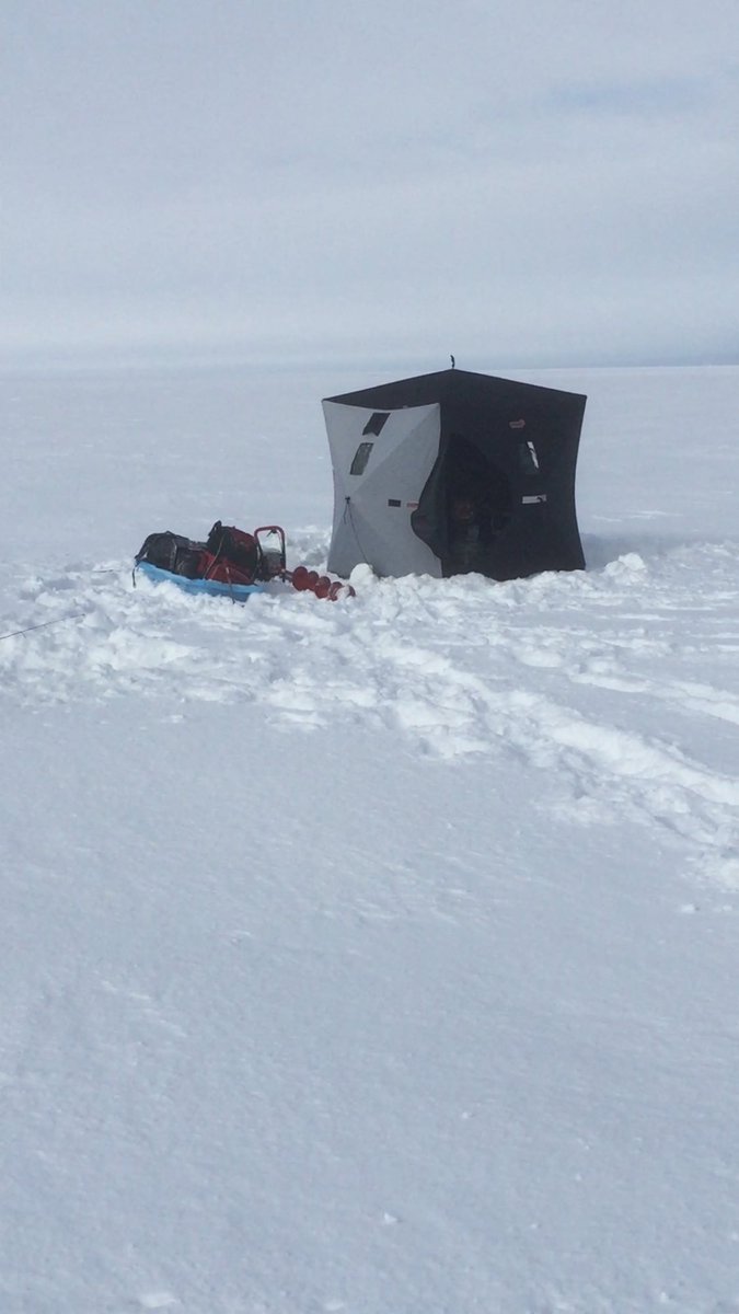 Steven Beauparlant tweet media