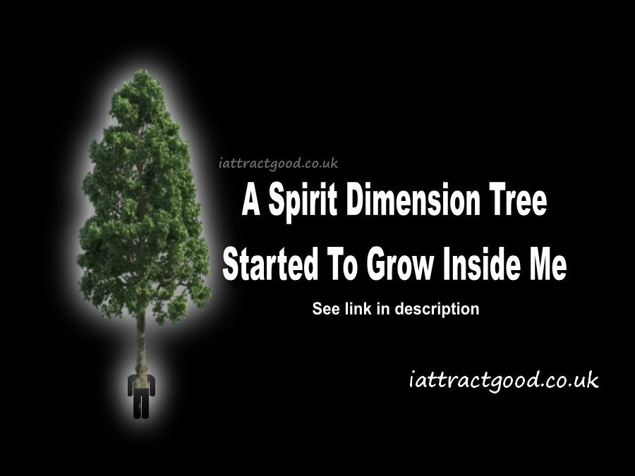 I Attract Good tweet media