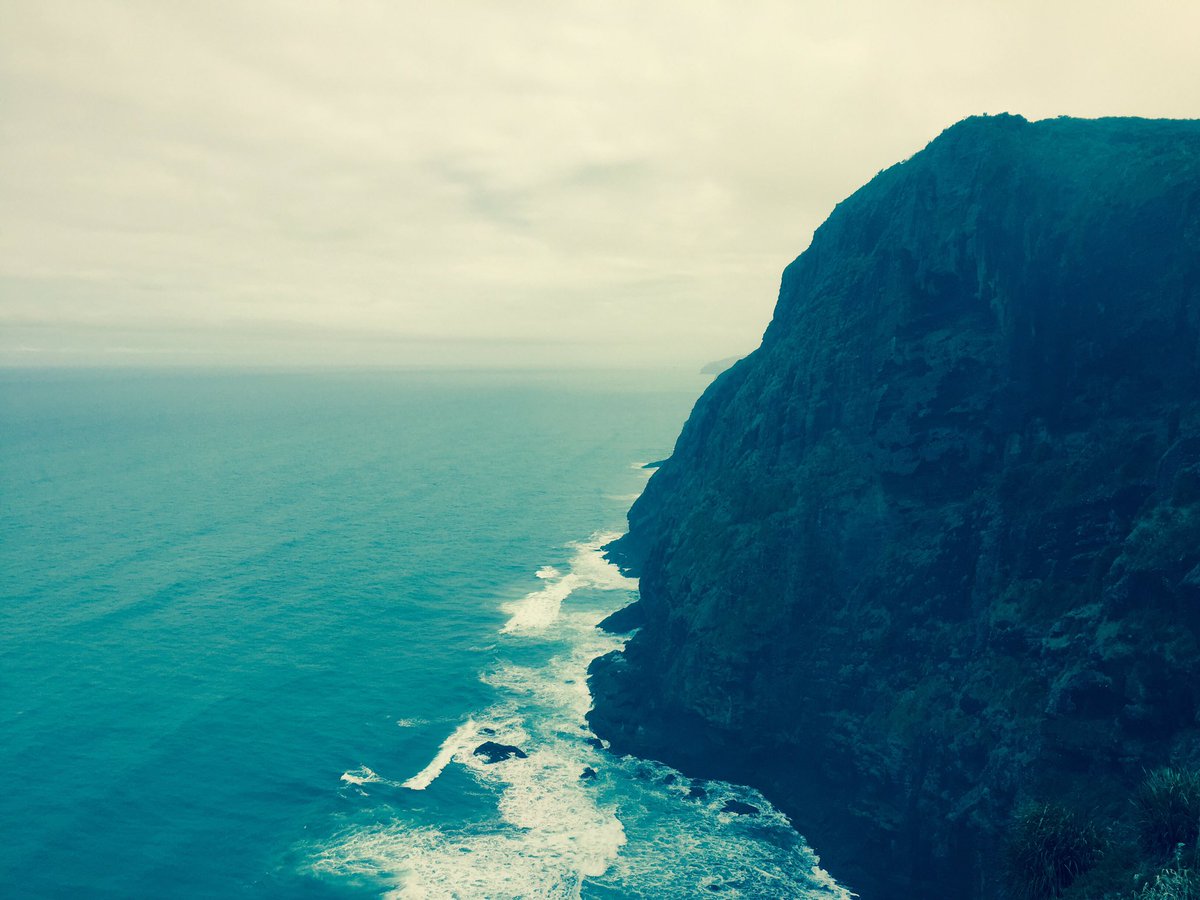 ElementsPaul's tweet photo. Exploring Auckland's West Coast! #Elementsworld #elementsadventures #auckland #newzealand #travel #nature https://t.co/F69Dmi5PXr