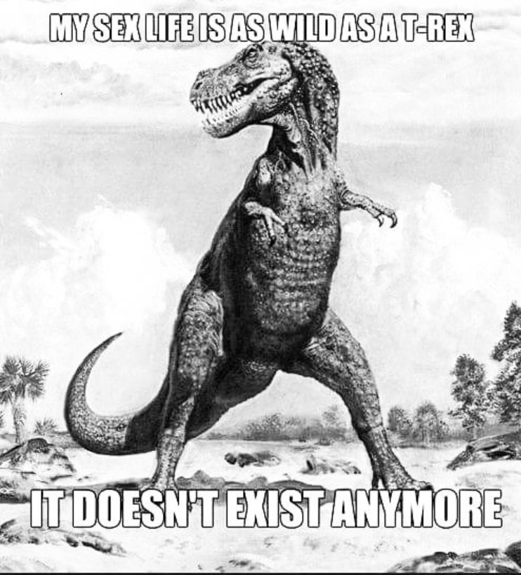 GirlOnPoint860's tweet image. Does. Not. Exsist.