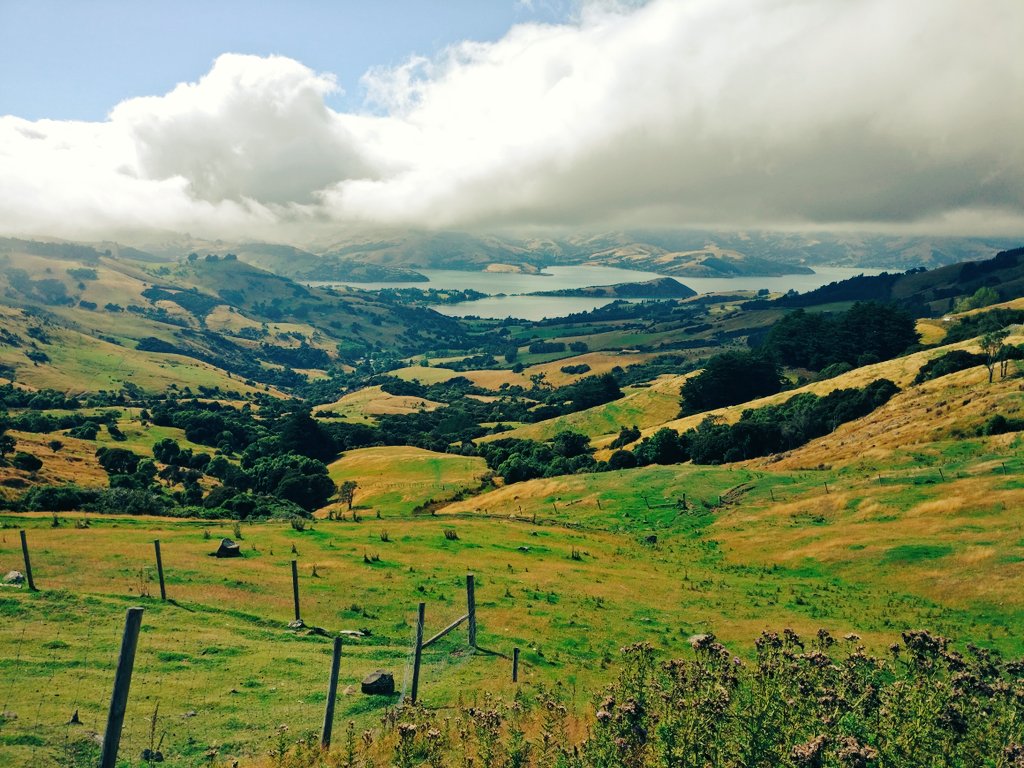 gjzevenbergen's tweet photo. Looking out to Akaroa. Just one day before @springsteen #christchurch @nilslofgren @StevieVanZandt #hilltop #itstoolatetostopnow https://t.co/HNYYLllAaR