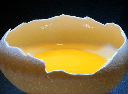 La Celula Mas Grande Del Mundo Wikipedia