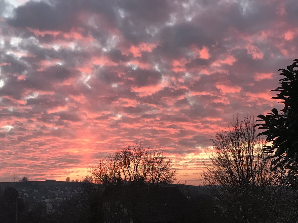 CtfCrea's tweet photo. Abendstimmung - fast schon kitschig, aber schön... #aufrosaWolkenschweben https://t.co/3F2GfSwtCk