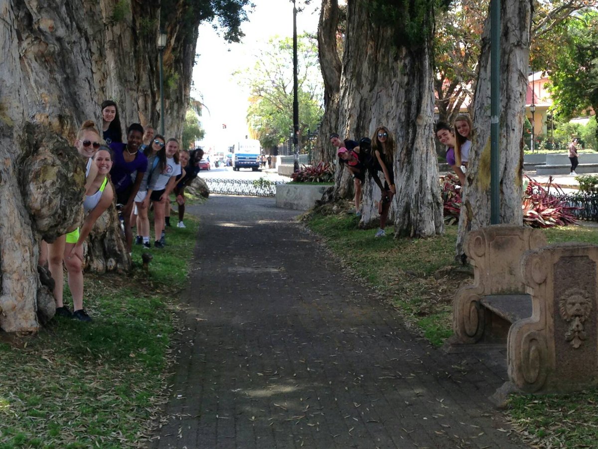 Hide and see with the Cork trees