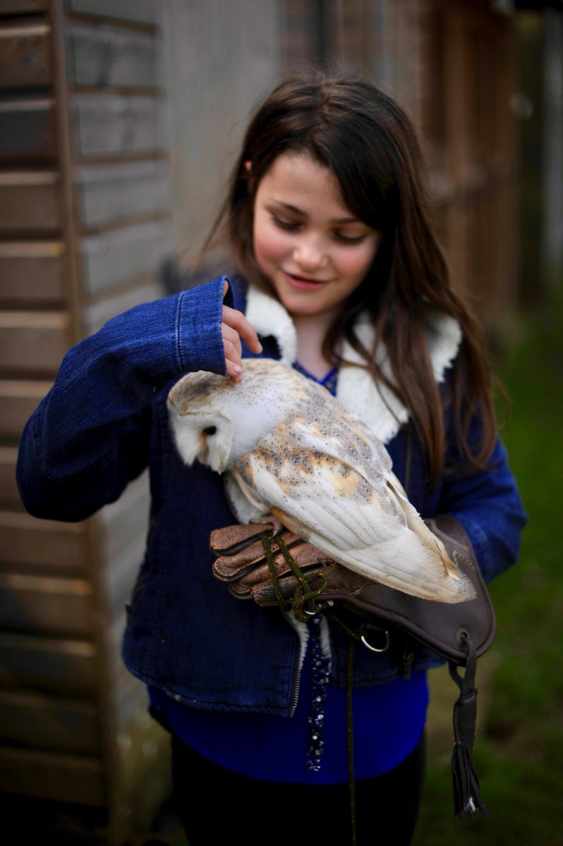 PRFalconry's tweet photo. Elspeth holding a #barnowl for the first time. We do #dayexperience. The birds love the attention. #falconry #walkwithahawk #flyahawk https://t.co/yVLMkO91Nx
