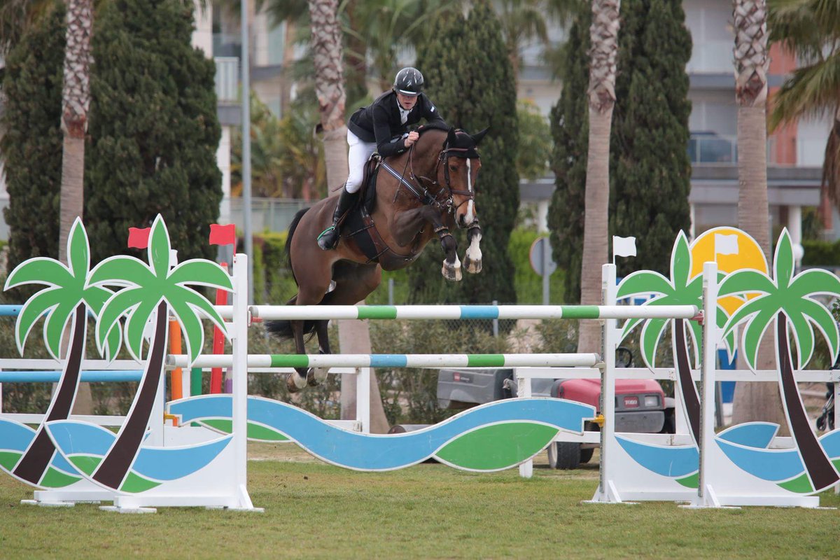 VP Equestrian Center tweet media