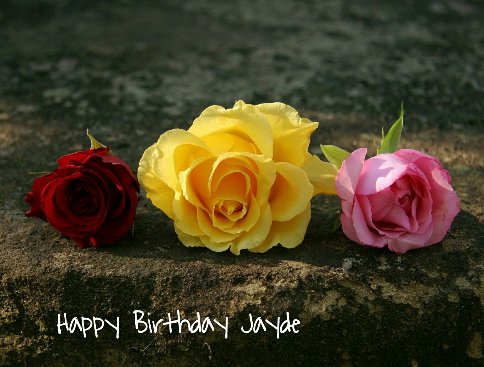 Happy Birthday  