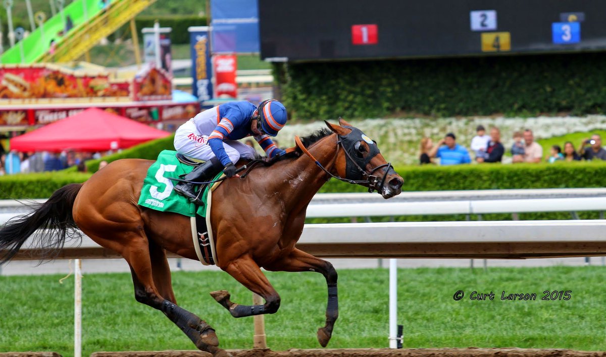 syncopate100's tweet photo. The brilliant & appropriately named Sunday Rule's goes for a repeat win in today's Spring Fever Hcp @santaanitapark. #ExtremelyFast https://t.co/dDJmQyZPzF