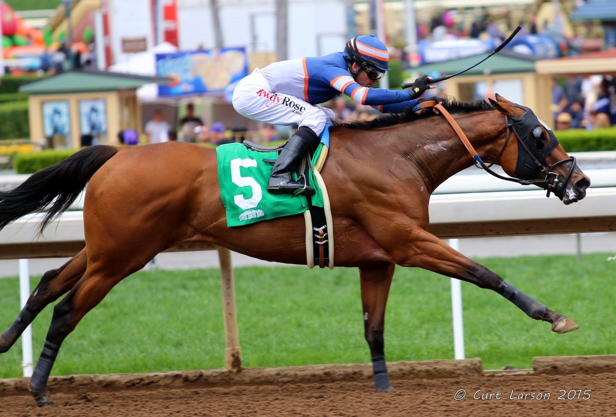 syncopate100's tweet photo. The brilliant & appropriately named Sunday Rule's goes for a repeat win in today's Spring Fever Hcp @santaanitapark. #ExtremelyFast https://t.co/dDJmQyZPzF