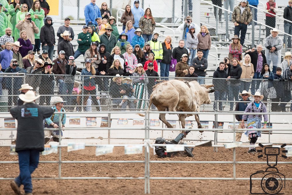 AllOverPhoto1's tweet photo. @TempeCameraInc Thanks to Guy Reed and @CanonUSAimaging for having us at the Tucson Rodeo. Great time shooting with my 5DSR and a EF 400mm. https://t.co/epyJucjvUe