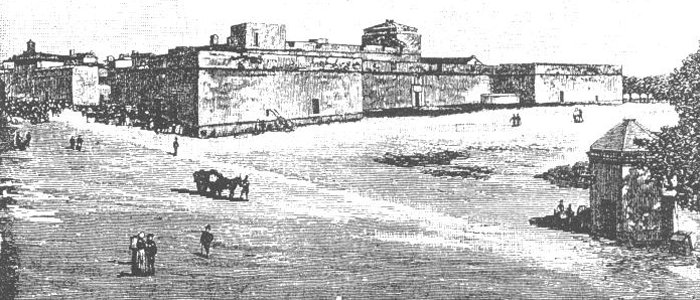 CastelloCarloV tweet media