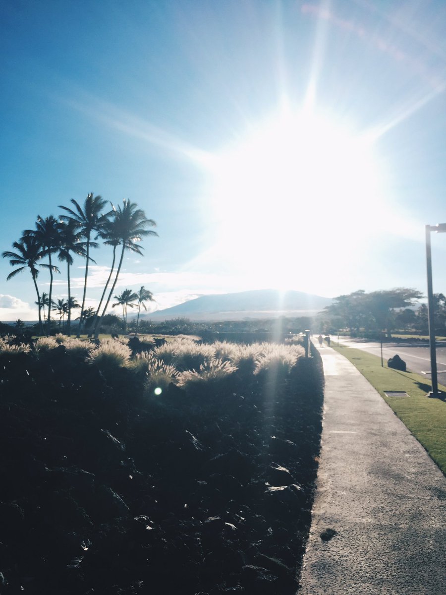 juliejamjar's tweet image. Beautiful 8k run through Hawaii this morning #VolcanoViews #gecko