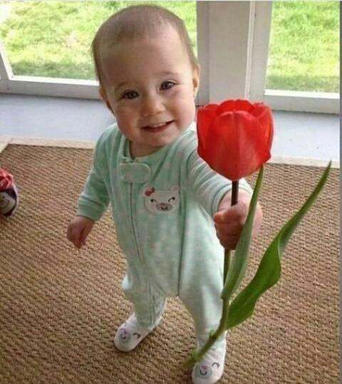 نامهربون tweet media