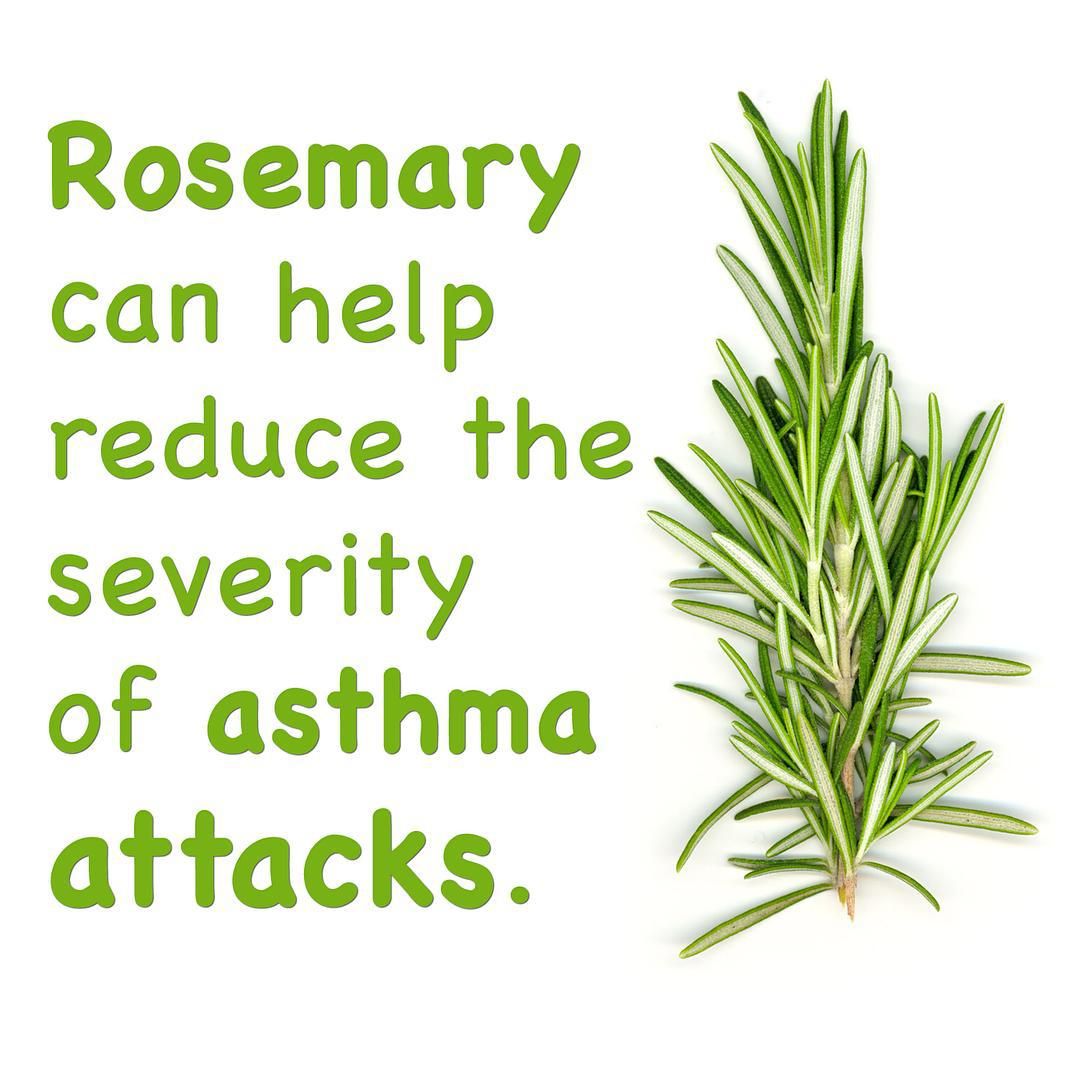 isitbadforyou's tweet photo. How you use rosemary is up to you - cook with it, sprinkle it on top of your dish, or make tea with it! #isitbadforyou https://t.co/bHy8zijEUH