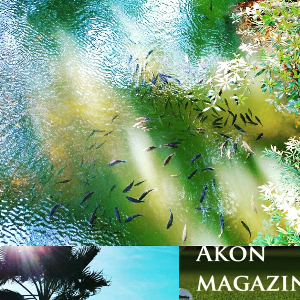 AkonSulama's tweet photo. #akon #insaat #turkiye #sulama #ankara #hunterirrigation #insaat #turkiye #cumhurbaskani https://t.co/HOcBnQ6Rht