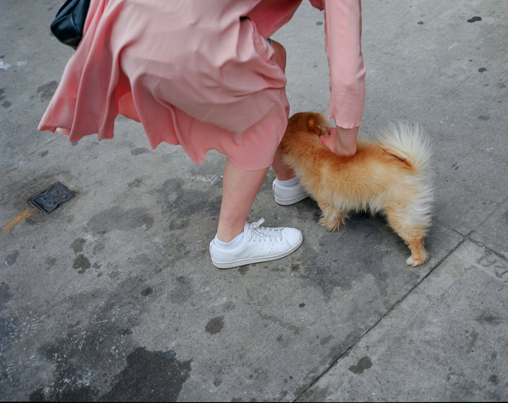 20_pixel's tweet photo. Alexi Hobbs
https://t.co/kIqIoz8DLh #pink https://t.co/o3TAEybmmj