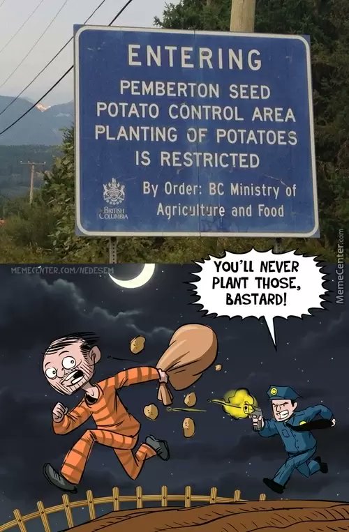 backkupsecurity's tweet image. 