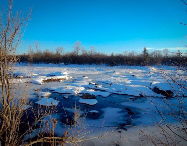 AprilMaySpeak's tweet photo. Feeling like Spring in Sault Ste Marie!  Always a beautiful walk on Whitefish Island #thesoo #BatchewanaFirstNation https://t.co/xnlxgejyP3