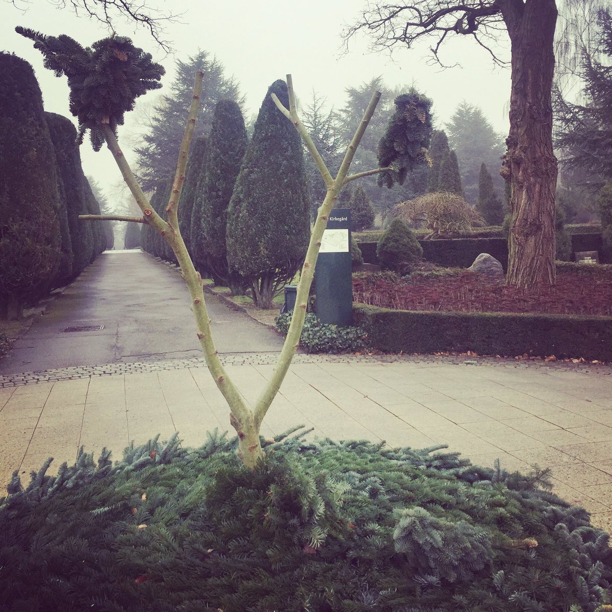 missmunter's tweet photo. I #mitroskilde forvandles kirkegårdsfontæner til #graveyardart om vinteren 🙏🏼#østrekirkegård #streetart #livogdød 💚 https://t.co/A3QJqnGX10