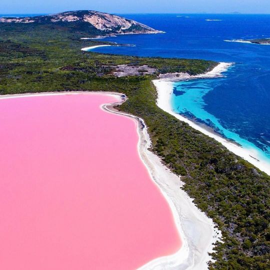 TarifaCo's tweet photo. Add some color to life! #wanderlust #australia #swimwear https://t.co/dTJYntjfiY