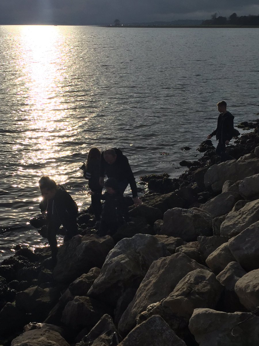 WarnerFancy's tweet photo. #muddychallenges found under rocks on the beach https://t.co/LDjEx1EGWR