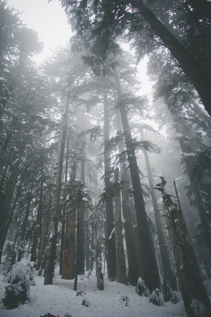 SpencerKK_'s tweet photo. Gloom~ https://t.co/Q9L9IvZA1L
