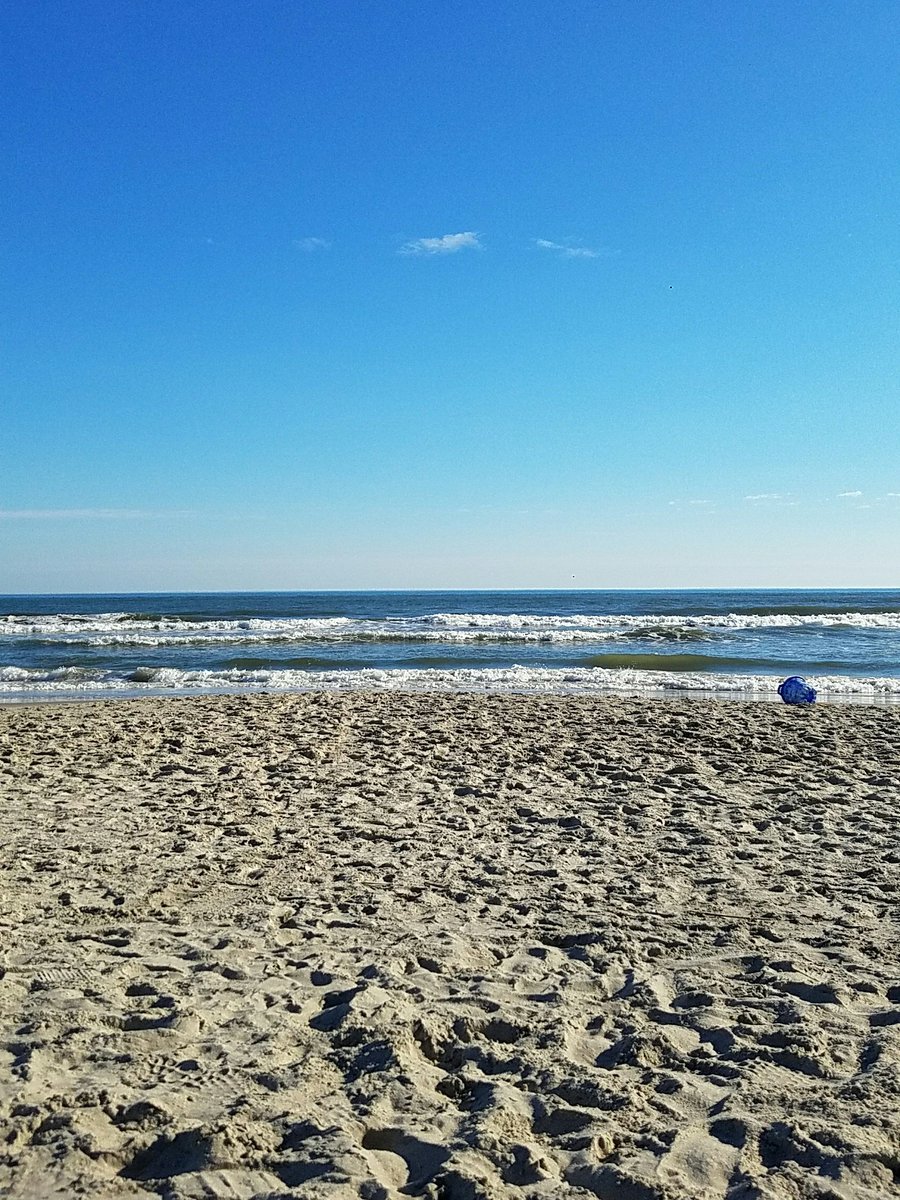 KrystalOrtizWx's tweet photo. Ahhh THIS is a nice February afternoon! #oceancity #itsSObusy @NBCPhiladelphia https://t.co/P70gxYse5s