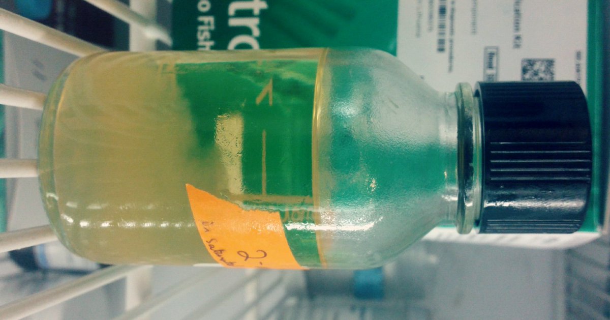 TheJoyofScience's tweet photo. Precipitate of exotic nucleotide slowly starts to grow. #SynthesisSunday #Science https://t.co/P78FXLdcay