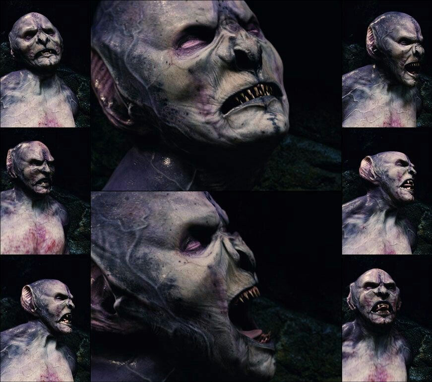 Ｎｅｗ Ｅｖｏｌｕｔｉｏｎ