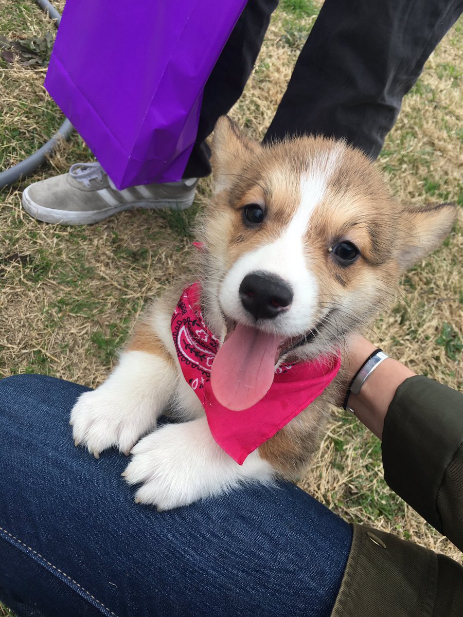 hugocorg's tweet photo. On my way home!!! https://t.co/ahGMx3Ny1z