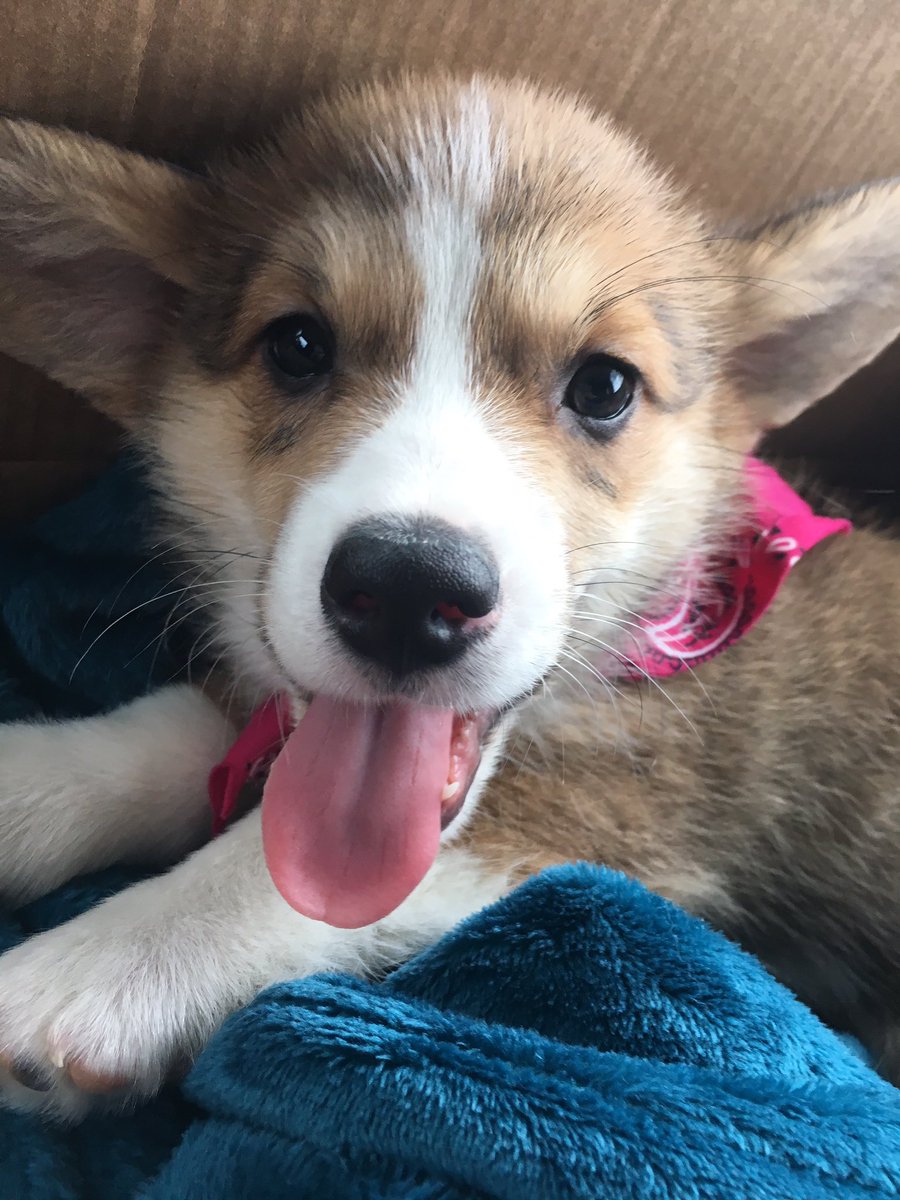 hugocorg's tweet photo. On my way home!!! https://t.co/ahGMx3Ny1z