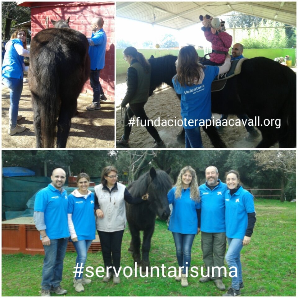 TerapiaaCavall's tweet photo. Gràcies als 20  @voluntariscaixa  per la vostra dedicació aquesta #setmanasocial #serVoluntariSuma @FundlaCaixa  @infoCaixa @TerapiaaCavall https://t.co/0RiQ8YQiCL