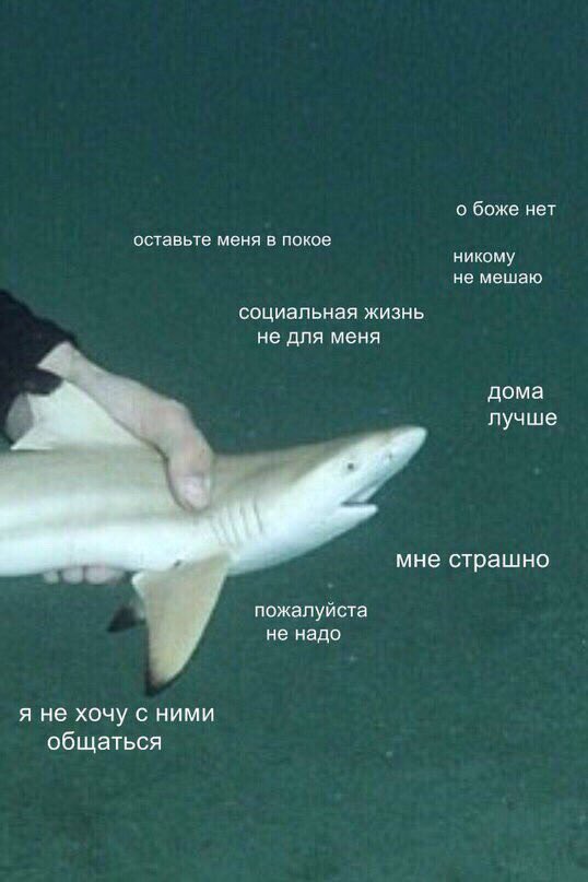 В обществе