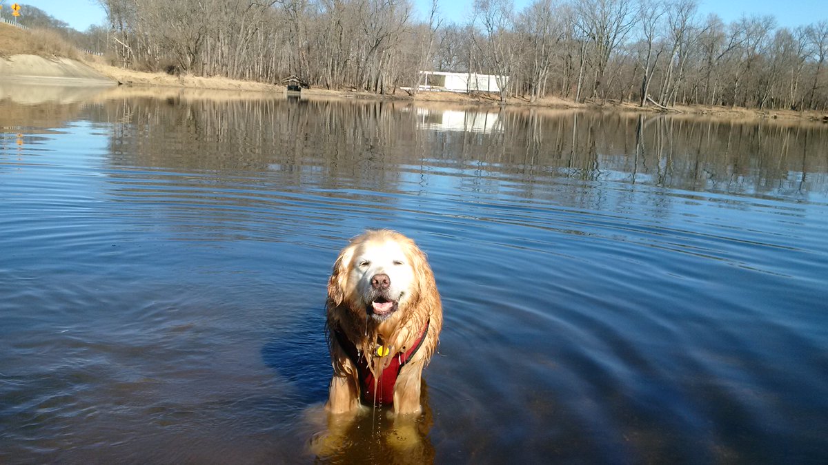 DaewooSchnae's tweet photo. @FozyDog cooling off and checking out the Farnsworth House. https://t.co/geugTIGvWi