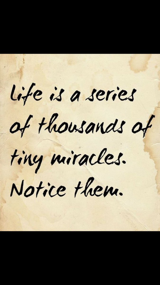 Derby_Batman's tweet photo. Miracles โจ
#LifeIsThousandsOfMiracles ๐
#NoticeThemSuckers ๐
#IDontGiveAFuckWhileFeastingOnHerMuck ๐ฉ
#BattymanChroniclesยฎ https://t.co/OlfM93fJYA