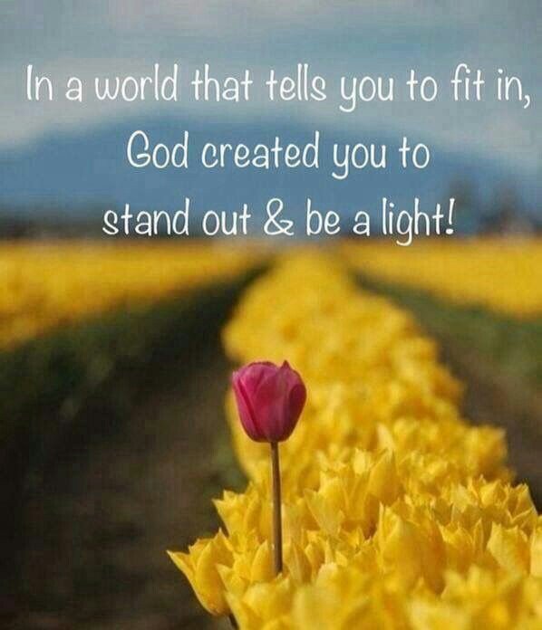 lizfebry9's tweet photo. Teach me Lord and guide my way.
@AnnickNday @Evadam7 @AnitaLea1 
👑✝️👑 🌹
#grace #faith #love https://t.co/1z5CX77bvF