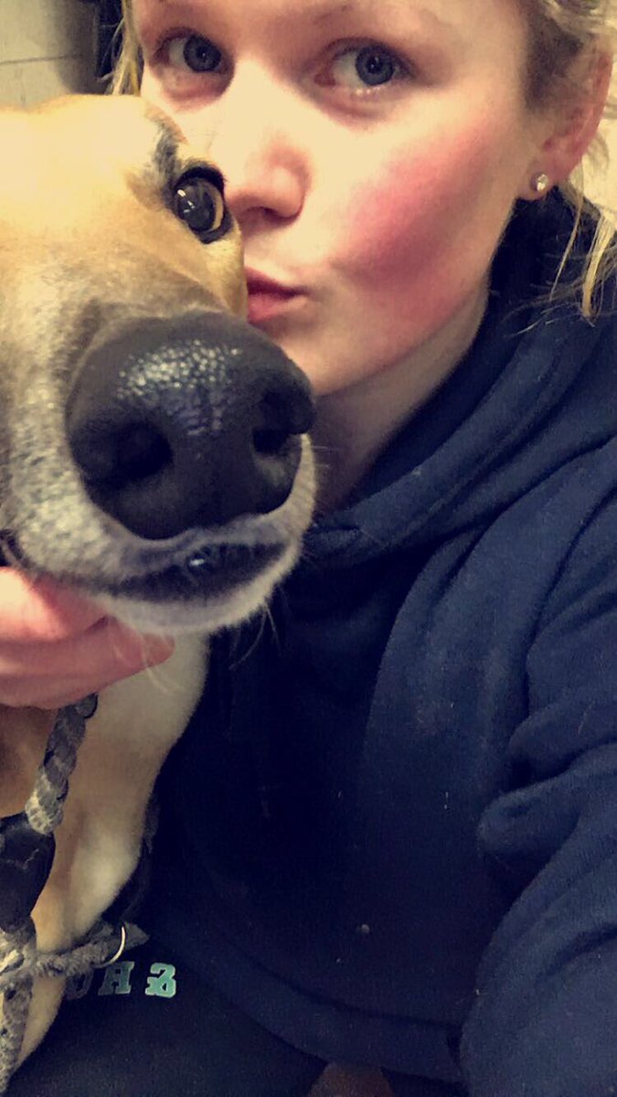 Hanieelp94's tweet image. Love my Marmaduke! #DrahbegDuke #Dukey #Marmas #Lankylegs ❤