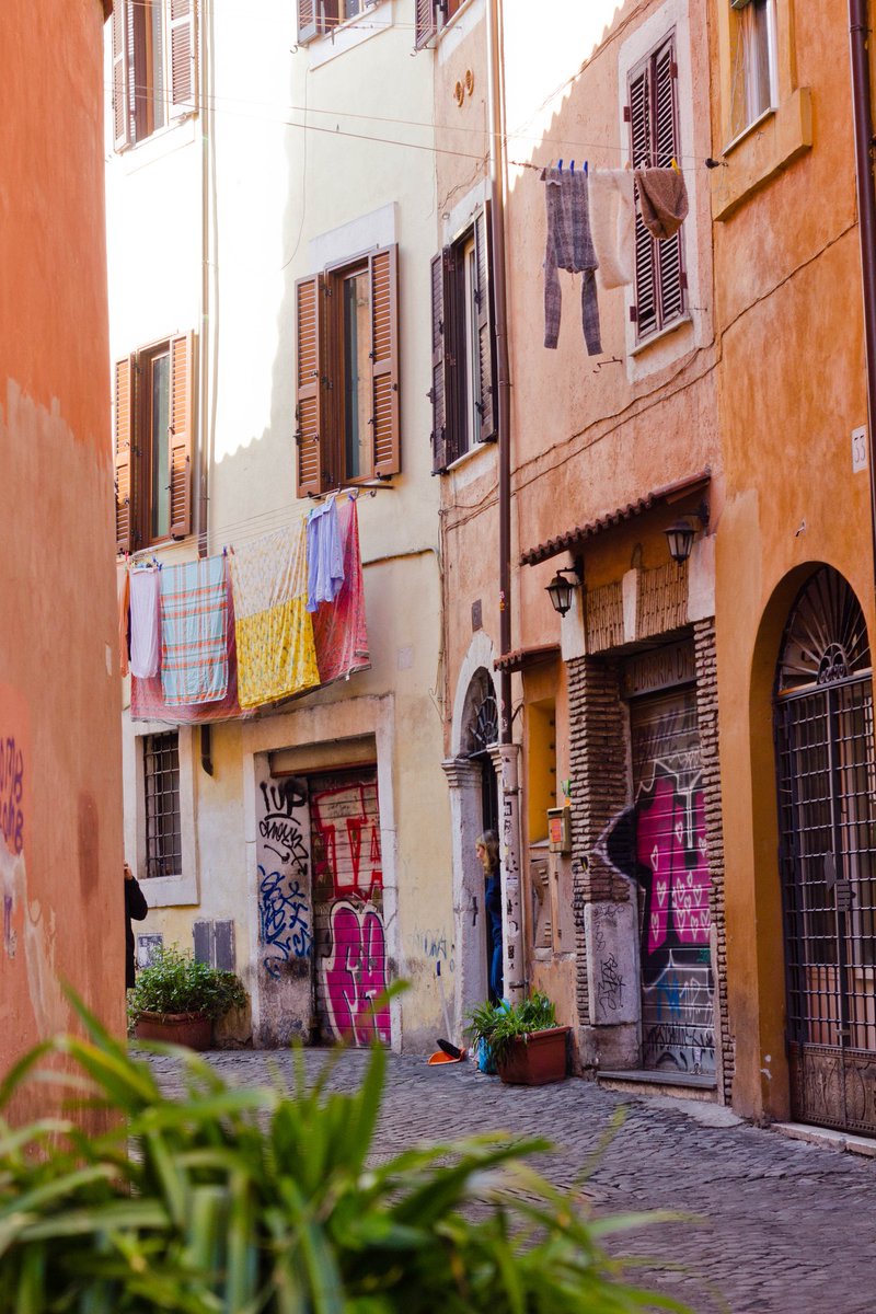 Desam Vidal tweet media