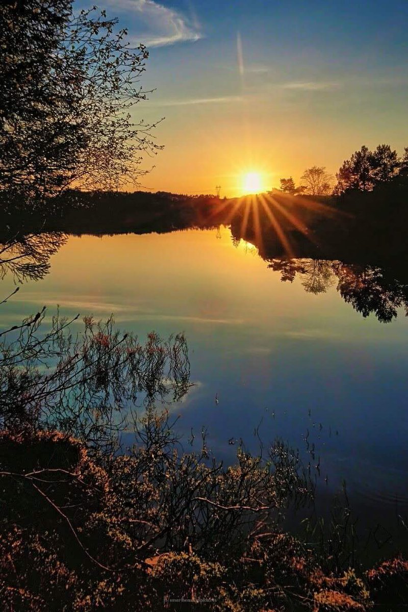 Lepahreis's tweet image. 