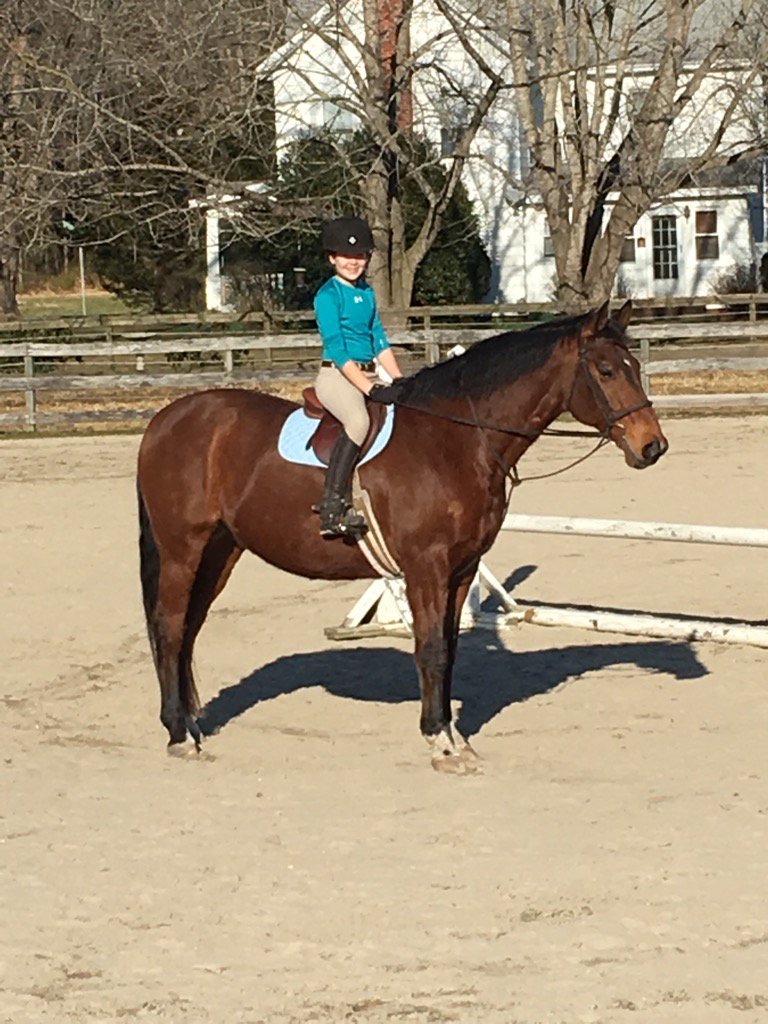 When it's nice in February you ride them all, even stick the little 12yo on the big warmblood...we ❤️Rudy!