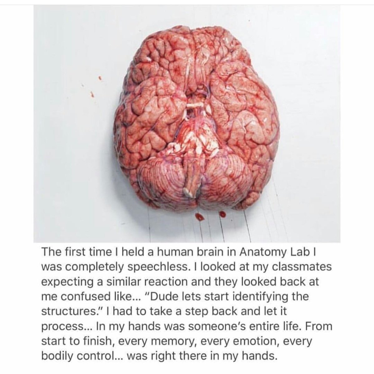 aemind's tweet photo. Think. https://t.co/5qVRfVsXMQ https://t.co/CBlIgY9Wgh