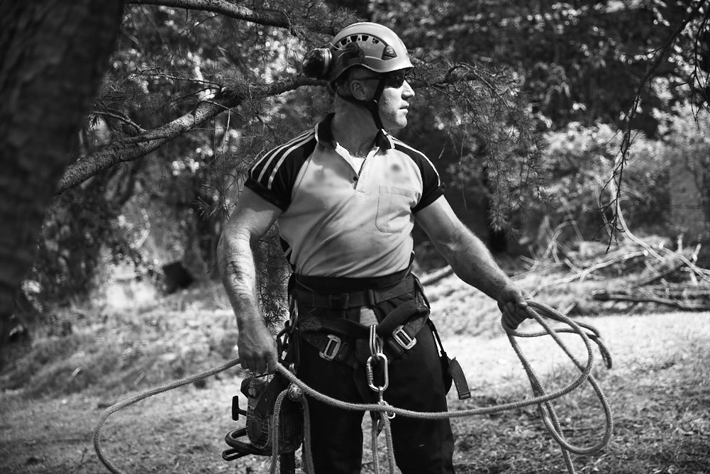 SafeWork_NSW's tweet image. SafeWork’s tree work guide can help you work safe in the clean up after the weekend’s storms  #safetreework tiny.cc/fvmcjy