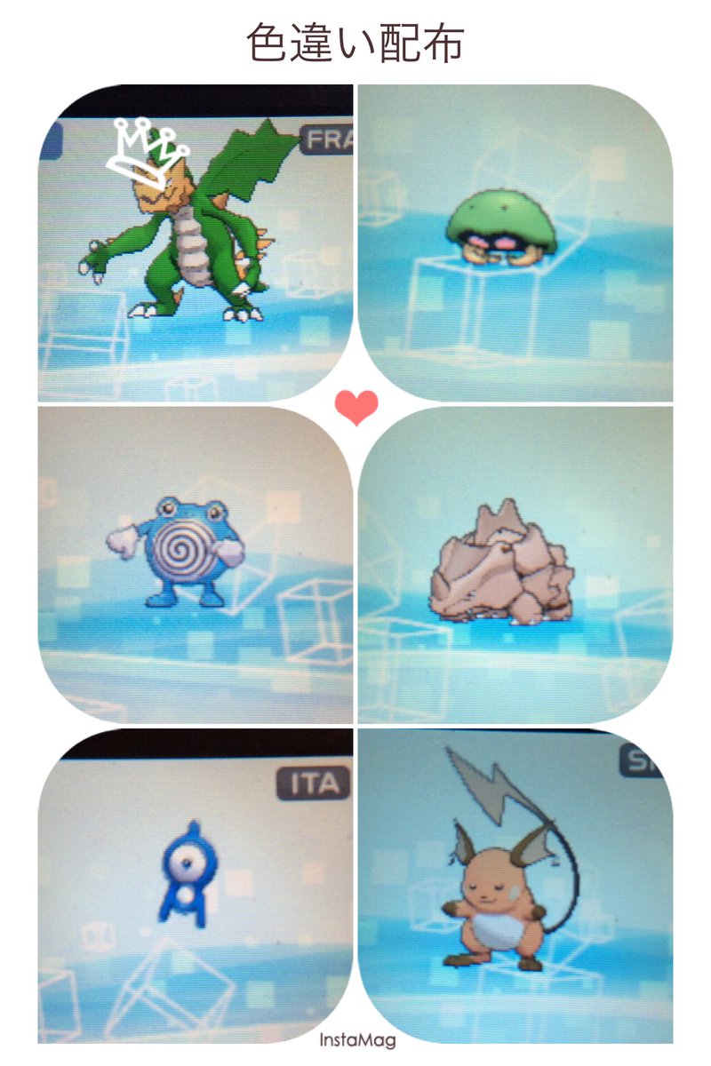 ライデン ポケモン垢 Raiden Blaziken Twitter