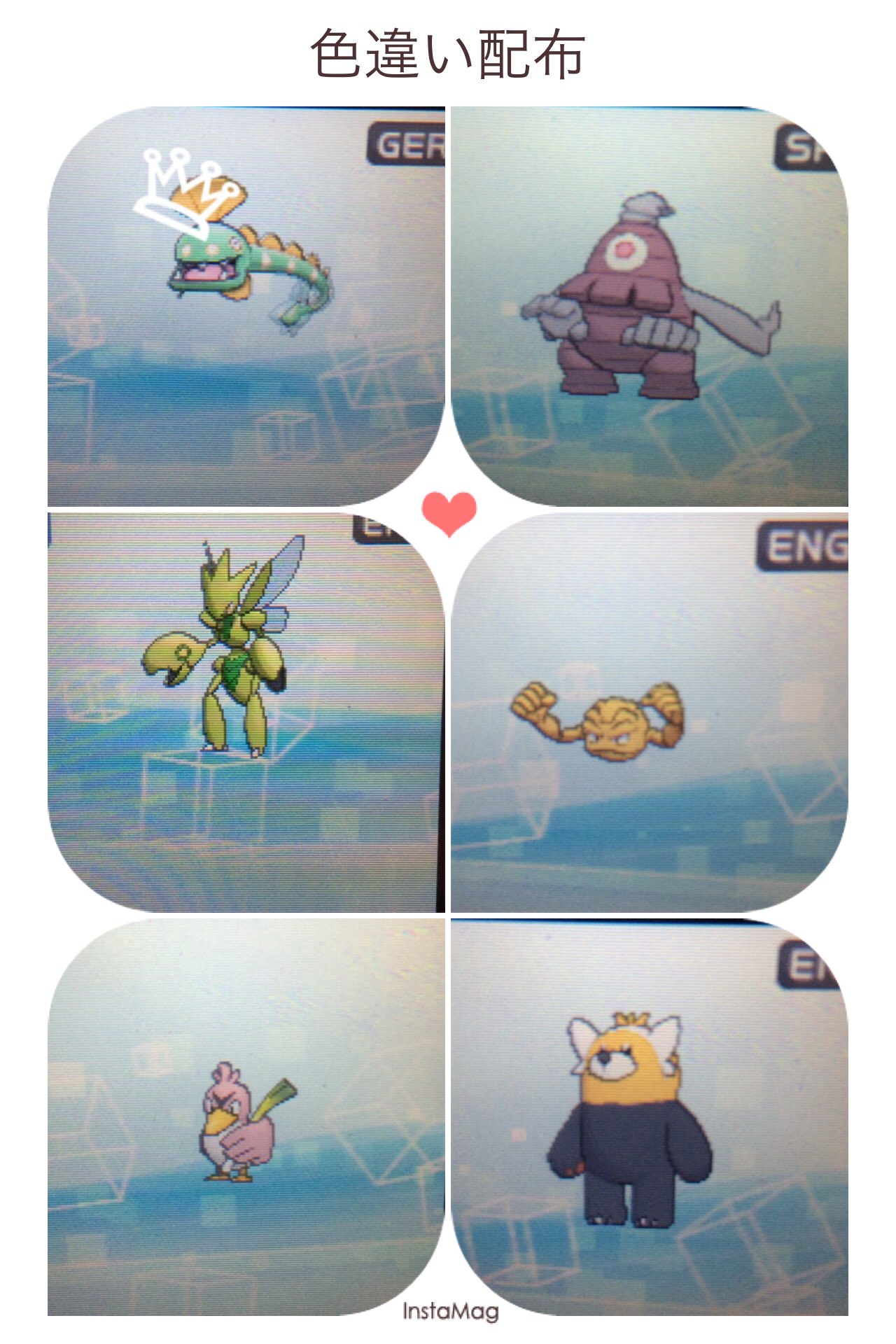 ライデン ポケモン垢 Raiden Blaziken Twitter