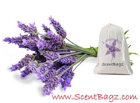 Scentbagz's tweet photo. https://t.co/ekee4r6vXW - car air freshener manufacturer  #collection #ScentBagz https://t.co/nbztKU7VEm