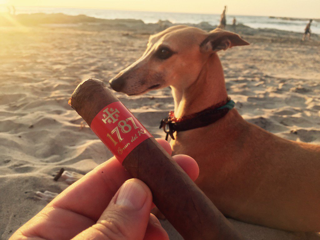 Brundelre's tweet photo. @Brundelre @cigarweekly @cigarjournal @CigarAficMag @SmokeRingGal @TedVargashian @CigarSense #cigars #cigarporn https://t.co/KBG88vvHP2